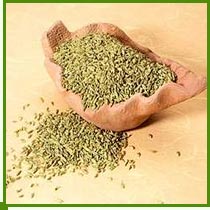 Fennel Seed 