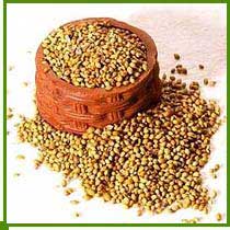 Coriander Seeds