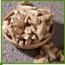 Dried Ginger