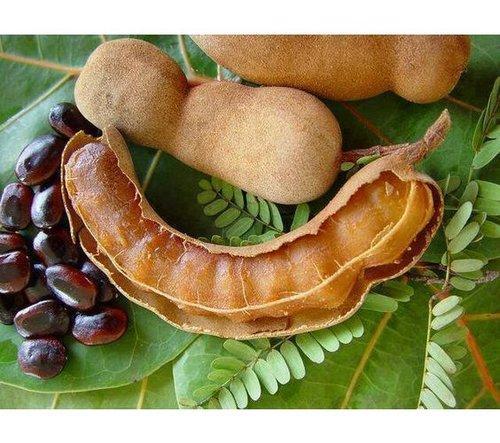 Dry Tamarind